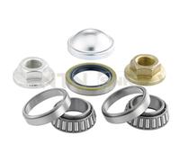 Set di cuscinetti ruota SNR R152.37S