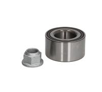 Set di cuscinetti ruota SNR R167.10
