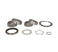 Set di cuscinetti ruota SNR R169.33