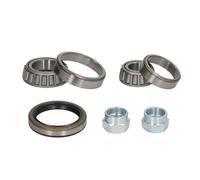 Set di cuscinetti ruota SNR R170.12