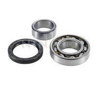 Set di cuscinetti ruota SNR R177.15