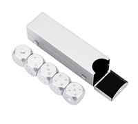 Set di Dadi a 6 Facce in Lega di Alluminio 5 Pezzi Dadi da Gioco con Scatola di Immagazzinaggio per Club Gioco da Tavolo (Argento-Scatola rettangolare)