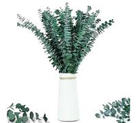 Set di decorazioni con erba di Pampas essiccata, 12 pezzi con foglie di eucalipto sempreverde, bouquet di erba di canna per decorazioni da tavolo in stile Boho per matrimoni