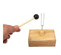 Set Di Diapason A Risonanza In Metallo E Legno Dimostratore Vibrazioni Delle Onde Sonore Scuola Media Esperimento Fisica Acustica Laboratorio Attrezzatura Didattica Strumento Test Acustico