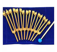 Set Di Diapason Chakra 7 Chakra + 1 Scopo Dell'anima, Diapason Pesati, (126,22 Hz, 136,1 Hz ， 141,27 Hz ， 172,06 Hz ， 194,18 Hz ， 210,42 Hz ， 221,23 Hz ， 272,2 Hz)