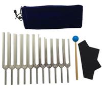 Set di diapason da 11 pezzi for la guarigione dei chakra, diapason non pesati con custodia, martello di gomma e panno for la pulizia, strumenti for la terapia del suono dei chakra, 252,44 Hz - 442,26