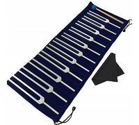 Set Di Diapason Da 11 Pezzi, For La Guarigione Di Tutto Il Corpo, Chakra, Terapia Del Suono, Con Borsa In Stoffa For Martelli In Silicone, Regalo For Buddisti Yoga Sound Healer