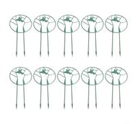 Set di dieci piante decorative che supportano soluzioni per il vostro giardino interno ed esterno