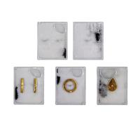 Set di dimostratori di campo elettrostatico di fisica da 5 pezzi per visualizzare linee di campo elettrico forza e direzione in aula esperimenti fisici modello elettromagnetismo