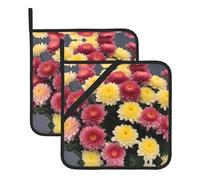 Set di due vasi quadrati isolati, tappetini da cucina resistenti al calore, ideali per il coperchio a pentola a cucina e il barbecue all'aperto. Un mazzo di crisantemi. Stampe