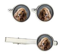 Set Di English Cocker Spaniel Con Fermagli In Una Scatola Con Immagine. Art-Dog