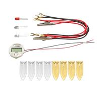 Set di esperimenti di elettricità a base di frutta interattiva per la generazione di energia educativa per studenti e insegnanti Set di alimentazione fatti in casa