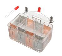 Set di esperimenti per la generazione di energia della batteria dell'acqua salata per bambini e studenti che comprendono i principi di elettricità Progetto della batteria della frutta