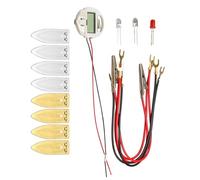 Set di esperimenti per la generazione di energia per la frutta, set mani sulla frutta, assemblaggio batteria, giocattolo educativo per bambini 7 + set di esperimenti di frutta fatti in casa