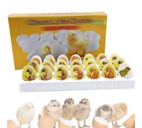 Set di esplorazione del ciclo vitale del pulcino, 21 modelli di crescita embrionale di pulcino in plastica, modello portatile di sviluppo embrionale di pollo, modelli educativi