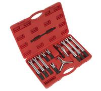 Sealey Cuscinetto & Estrattore Set 12pc PS900