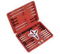 Set Di Estrattori Per Volano Sealey 49 Pezzi PS979
