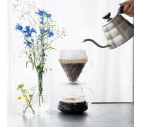 Set di estrazione Hario V60 Drip-Assist