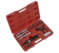 Set Di Estrazione Idraulica Sealey 19 Pezzi PS981