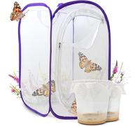 Set di farfalle per bambini e adulti, farfalla allevare con garanzia di successo | e-book + materiali educativi | casa bruchi da 3 anni - 2 bicchieri