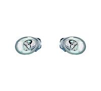 Set Di Fari Alogeni HSW Compatibile Con VW New Beetle 1C 9C 1Y 98-05 H1 H1 L R
