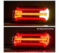 Set Di Fari Posteriori A LED Per Rimorchio Con Indicatori Di Direzione 12/24V