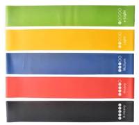 Set di fasce di resistenza per allenamento, design ad anello con codice colore, per allenamento della forza, stretching e pilates, per palestra a casa e viaggi