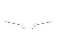 Set di fendinebbia posteriore/Adatto per Alphard Vellfire 2015-2020 ABS cromato copertura luce posteriore striscia di ornamento copertura del sopracciglio abbellimento Staffa di montaggio fendinebbia
