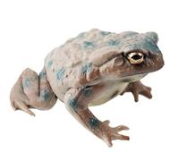 Set di figurine realistiche di rane - Collezione di statue di scienze educative di modelli di animali di rospo, decorazioni durevoli per l'apprendimento dei bambini | Camera dei bambini Aula Banco di