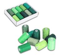 Set di fili di cucito, 10 rotoli tutti gli scopi Fili trapuntatura Schema di colori verdi Schema di cucitura fai -da -da -te 10 anni per bobina per forniture per macchine fai -da