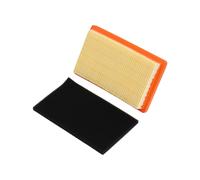 Set Di Filtri + Prefiltro (145x88x25) Adatto Per WOLF-Garten Campus 46 BA 60