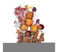 Set di fiori pressati - Mix floreale secco colorato, 10 varietà Kit Resin Fillers | Forniture artigianali fatte a mano, decorazioni per candele fai -da -te, materiale a sospensione per arte epossidica