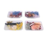 Set di fiori secchi per artigianato fai-da-te, decorazioni per la casa e il matrimonio, 4 scatole, colori vivaci di marca sconosciuta