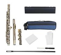 Set Di Flauto A 16 Fori Flauto Tono C A Foro Chiuso Con Custodia E Accessori Per Gli Amanti Della Musica Flauto Traverso per Principiante (Color : 01)