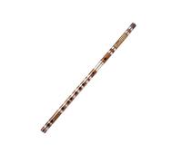 set di flauto di bambù Flauto Traverso A Doppio Inserto Per Principianti Per Esercitarsi E Sostenere Esami Per Flauto Entry-level (Color : G)