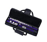 Set Di Flauto Tono C A 16 Fori Chiusi In Cupronichel Blu Nichelato Con Custodia Per Il Trasporto Flauto Traverso per Principiante