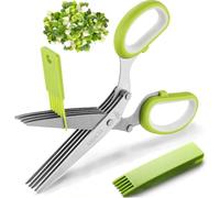 Set di forbici per erbe aromatiche con 5 lame in acciaio INOX