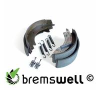 Set Di Freni 250X40Mm Per KNOTT 25-2025/1 BPW S2504-5 RASK