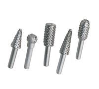 Set di Frese Rotative in Acciaio Argento 5 Pezzi per Intaglio | Sgrossatura, Alesatura e Sbavatura, Adatti a Legno e Metallo, Accessori per Utensile Rotativo