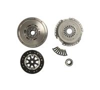 Set di frizione con volano a doppia massa LUK 600 0190 00