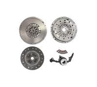 Set di frizione con volano a doppia massa LUK 600 0202 00