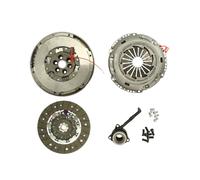 Set di frizione con volano a doppia massa LUK RepSet DMF 600 0013 00