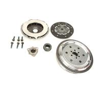 Set di frizione con volano a doppia massa LUK RepSet DMF 600 0029 00