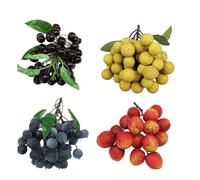 Set di frutti artificiali tra cui Longan, litchi e mirtillo per un'elegante decorazione domestica (I)