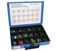 Set di fusibili DRESSELHAUS 4499/000/06 8602
