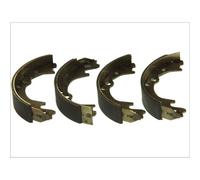 Set di ganasce freno ABE C00517ABE