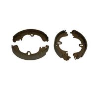 Set di ganasce freno DELPHI LS1315