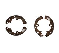 Set di ganasce freno DELPHI LS1356