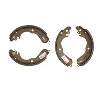 Set di ganasce freno DELPHI LS1649