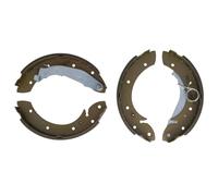 Set di ganasce freno DELPHI LS1716